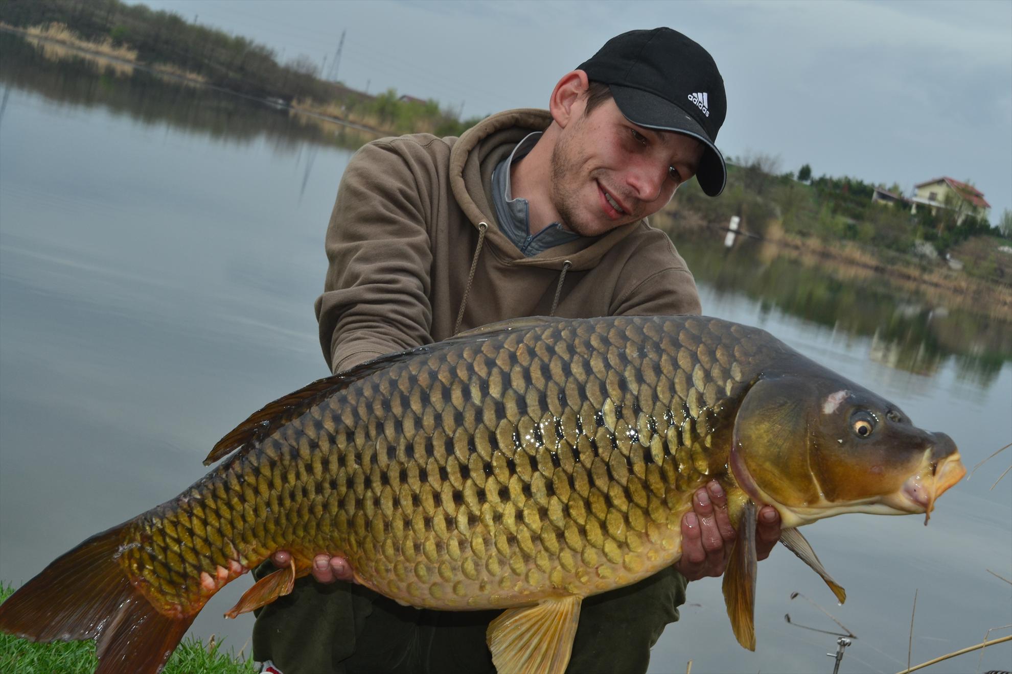 Foto dulapi - dsc0157.JPG